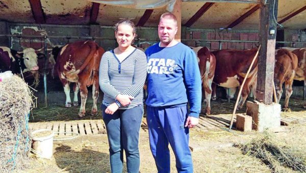 У ГРАДУ БИХ ПАТИО: Александар Жилић из Мартинаца, има најбоље газдинство у Србији У ГРАДУ БИХ ПАТИО: Александар Жилић из Мартинаца, има најбоље газдинство у Србији