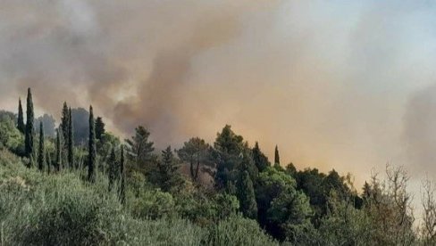 POŽARI BESNE U PORTUGALU: Gore hiljade hektara - evakuisano više od 1.400 ljudi