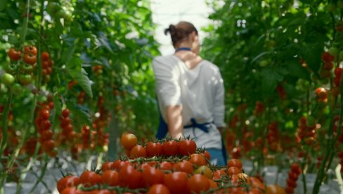 ŽENE KAO ŠEFICE NA SELU PRAVA RETKOST: Rade teške i zahtevne poslove, a tek oko 15 odsto njih dobija i zaradu za to