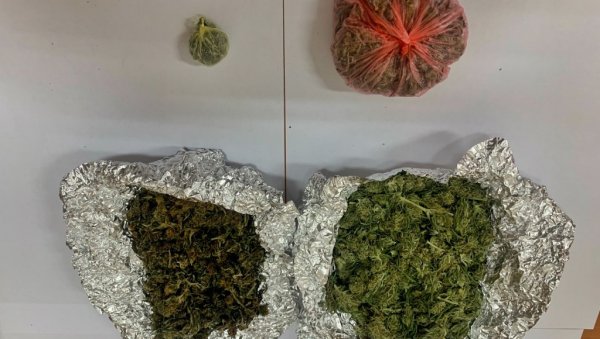 ПОЛЦИЈА ПРОНАШЛА ОПОЈНУ ДРОГУ: У кући у Великом Градишту крио марихуану и семе индијске конопље ПОЛЦИЈА ПРОНАШЛА ОПОЈНУ ДРОГУ: У кући у Великом Градишту крио марихуану и семе индијске конопље