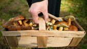 КУЋЕ ОД ПЕЧУРАКА?: Научници открили нову алтернативу за градњу