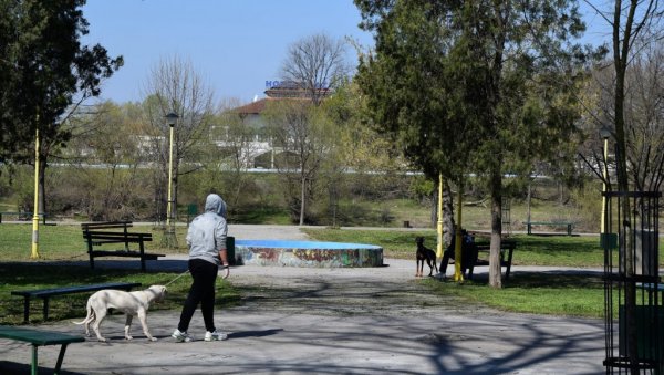 “УМЕТНОСТ РОДИТЕЉСТВА“: Програм у Моравском парку у Ћуприји “УМЕТНОСТ РОДИТЕЉСТВА“: Програм у Моравском парку у Ћуприји