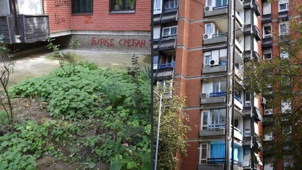 СПАСАО ГА УГАО ПАДА: Младић (18), који је пре два дана преживео пад са 20 метара, тренутно у УЦ СПАСАО ГА УГАО ПАДА: Младић (18), који је пре два дана преживео пад са 20 метара, тренутно у УЦ