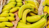 ВЕЛИКА КРИЗА ДРМА ГИГАНТА: Један од највећих извозника банана отпушта 4.900 радника