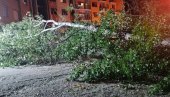 ДРВО ПАЛО НА ДЕТЕ: Ужас у Нишу, повређени дечак превезен у болницу (ФОТО/ВИДЕО) ДРВО ПАЛО НА ДЕТЕ: Ужас у Нишу, повређени дечак превезен у болницу (ФОТО/ВИДЕО)