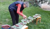 KOLAČ PEČEN NA LISTU KUPUSA: Na Murtenici vekovima pripremaju neobičnu poslasticu