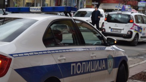UZGAJAO I PRODAVAO MARIHUANU: Policija je u okolini Rekovca pronašla 12 stabljika kanabisa