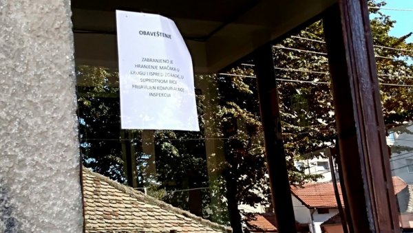 УПОЗОРЕЊЕ У ЦЕНТРУ ПОЖАРЕВЦА: Ако храните мачке, очекујте пријаву УПОЗОРЕЊЕ У ЦЕНТРУ ПОЖАРЕВЦА: Ако храните мачке, очекујте пријаву