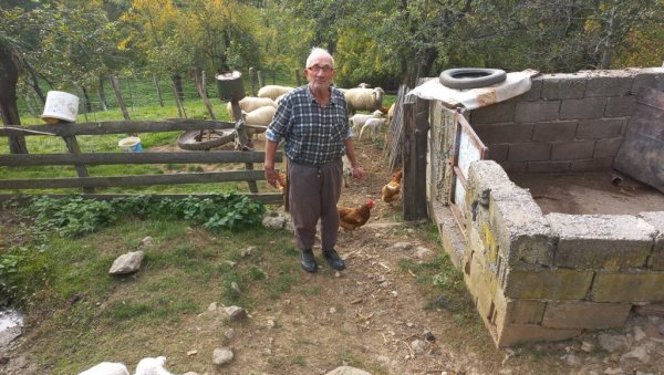 ПЕТОРКЕ У ТОРУ МИЈАИЛОВИЋА: Овца из Костајника код Крупња обрадовала домаћина бројним потомством ПЕТОРКЕ У ТОРУ МИЈАИЛОВИЋА: Овца из Костајника код Крупња обрадовала домаћина бројним потомством