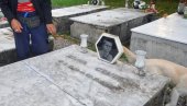 ЧЕТРНАЕСТОРО ЂАКА СТРАДАЛО НА ЕКСКУРЗИЈИ 1971: Кренули из Крагујевца на море, али никад нису стигли ЧЕТРНАЕСТОРО ЂАКА СТРАДАЛО НА ЕКСКУРЗИЈИ 1971: Кренули из Крагујевца на море, али никад нису стигли
