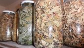 РЕЦЕПТИ ИГУМАНА ЈАКОВА ИЗ КРУШЕВЦА: Очистите зглобове по руској народној традицији РЕЦЕПТИ ИГУМАНА ЈАКОВА ИЗ КРУШЕВЦА: Очистите зглобове по руској народној традицији