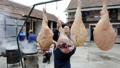 OPREZNO U SEZONI SVINJOKOLJA - ISHOD MOŽE DA BUDE FATALAN: Upozorenje jagodinskog Veterinarskog instituta na trihinelozu OPREZNO U SEZONI SVINJOKOLJA - ISHOD MOŽE DA BUDE FATALAN: Upozorenje jagodinskog Veterinarskog instituta na trihinelozu