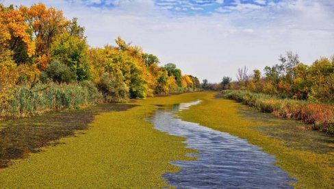 ČUVAJU CARSKU BARU: Pet miliona specijalnom rezervatu prirode (FOTO)