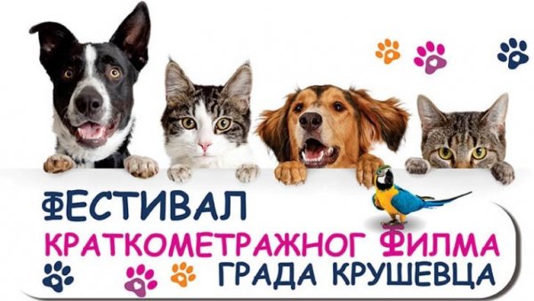 НАЈСЛАЂИ РЕЖИСЕРИ НА СВЕТУ СНИМАЈУ У ОВОМ ГРАДУ: Главни глумци су кућни љубимци (ВИДЕО) НАЈСЛАЂИ РЕЖИСЕРИ НА СВЕТУ СНИМАЈУ У ОВОМ ГРАДУ: Главни глумци су кућни љубимци (ВИДЕО)