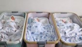 DVA BRATA: U porodilištu u Novom Sadu za dan rođene 33 bebe