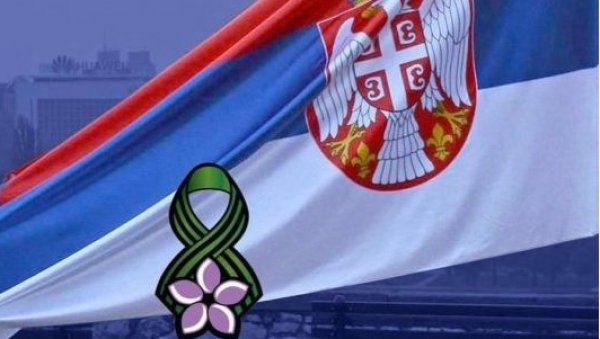 ДАН ПРИМИРЈА У ПРВОМ СВЕТСКОМ РАТУ: Први корак ка миру у сукобу великих сила - Државни празник од 2012. године ДАН ПРИМИРЈА У ПРВОМ СВЕТСКОМ РАТУ: Први корак ка миру у сукобу великих сила - Државни празник од 2012. године