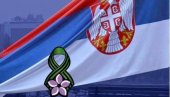 ДАН ПРИМИРЈА У ПРВОМ СВЕТСКОМ РАТУ: Први корак ка миру у сукобу великих сила - Државни празник од 2012. године