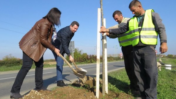 СТО НОВИХ СТАБАЛА ЗА ЗЕЛЕНИЈИ ШАБАЦ: Почела садња новог дрвореда у Улици западна трансверзала II