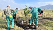 SAMI PROIZVODE DRVEĆE ZA RASAD: U Vršcu planirano pošumljavanje sa 8.000 sadnica SAMI PROIZVODE DRVEĆE ZA RASAD: U Vršcu planirano pošumljavanje sa 8.000 sadnica
