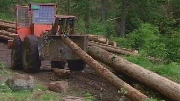 КОБНО БРАЊЕ ДРВА: Овогодишња сезона брања стабала по старопланинским врлетима обележена трагедијама КОБНО БРАЊЕ ДРВА: Овогодишња сезона брања стабала по старопланинским врлетима обележена трагедијама