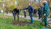OBNAVLJANJE SEDAMDESETOGODIŠNJEG KARAĐORĐEVOG PARKA: Počela akcija u Zrenjaninu (FOTO) OBNAVLJANJE SEDAMDESETOGODIŠNJEG KARAĐORĐEVOG PARKA: Počela akcija u Zrenjaninu (FOTO)