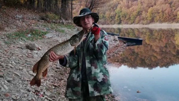 МАЈСТОР ЗА ОГРОМНЕ ШТУКЕ: Алексинчанин Александар Петровић (52), иако има тежак хендикеп, хвали се годинама рекордним уловима речне ајкуле МАЈСТОР ЗА ОГРОМНЕ ШТУКЕ: Алексинчанин Александар Петровић (52), иако има тежак хендикеп, хвали се годинама рекордним уловима речне ајкуле
