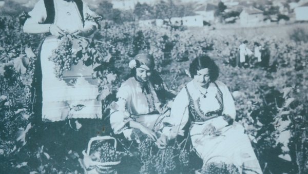 СРПСКА ПРЕСТОНИЦА БЕРБЕ: У овом граду производе вино још од 12. века (ФОТО) СРПСКА ПРЕСТОНИЦА БЕРБЕ: У овом граду производе вино још од 12. века (ФОТО)