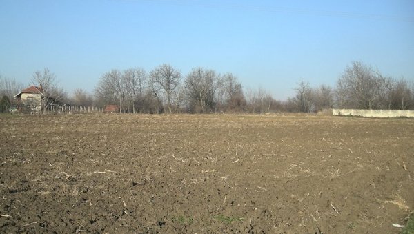 ДАЈУ ИХ НА 15 ГОДИНА: Закуп државног пољопривредног земљишта у општини Жабари ДАЈУ ИХ НА 15 ГОДИНА: Закуп државног пољопривредног земљишта у општини Жабари