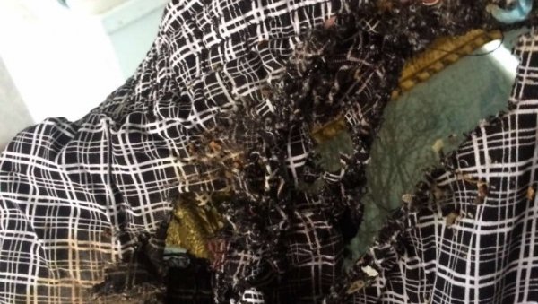 ТАЈНА ОСТАЛА У ГРОБУ: Истрага о сумњивој смрти Петра Гајића, рођаци траже есхумацију ТАЈНА ОСТАЛА У ГРОБУ: Истрага о сумњивој смрти Петра Гајића, рођаци траже есхумацију