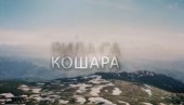 ПРЕМИЈЕРА СПОТА ВИЛА СА КОШАРА: Моћан видео поводом Дана војних ветерана ПРЕМИЈЕРА СПОТА ВИЛА СА КОШАРА: Моћан видео поводом Дана војних ветерана