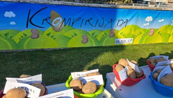 ДАНИ КРОМПИРА ДОЧЕКАЛИ ПУНОЛЕТСТВО: У Печењевцу, које чува традицију, све мање великих произвођача (ФОТО) ДАНИ КРОМПИРА ДОЧЕКАЛИ ПУНОЛЕТСТВО: У Печењевцу, које чува традицију, све мање великих произвођача (ФОТО)