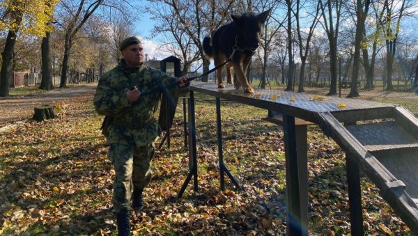 Обука службених паса за чуварску службу (ФОТО) Обука службених паса за чуварску службу (ФОТО)