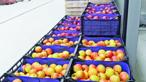 ПОМОРАНЏЕ ОД 80 ДО 130 ДИНАРА: На некадашњем Кванташу Београђани су највише пазарили јабуке и купус ПОМОРАНЏЕ ОД 80 ДО 130 ДИНАРА: На некадашњем Кванташу Београђани су највише пазарили јабуке и купус