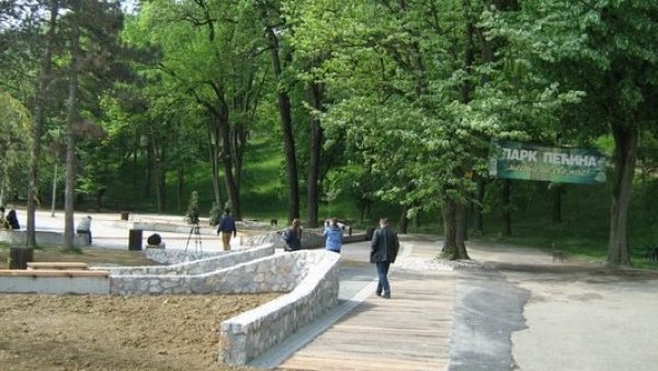 ПЕЋИНУ ЛЕЧЕ, А НЕ УНИШТАВАЈУ? Сеча стабала у ваљевском парку узнемирила грађане ПЕЋИНУ ЛЕЧЕ, А НЕ УНИШТАВАЈУ? Сеча стабала у ваљевском парку узнемирила грађане