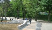 ПЕЋИНУ ЛЕЧЕ, А НЕ УНИШТАВАЈУ? Сеча стабала у ваљевском парку узнемирила грађане ПЕЋИНУ ЛЕЧЕ, А НЕ УНИШТАВАЈУ? Сеча стабала у ваљевском парку узнемирила грађане