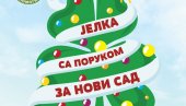 ЈЕЛКА СА ПОРУКОМ ЗА НОВИ САД: Празнична акција за децу и омладину на Старој Детелинари