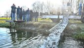 РЕКОРДНО ПОРИБЉАВАЊЕ: У канал ДТД у Србобрану пуштено 1.400 килограма шаранске млађи РЕКОРДНО ПОРИБЉАВАЊЕ: У канал ДТД у Србобрану пуштено 1.400 килограма шаранске млађи