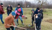 DEVETA „ŠKOLSKA ŠUMA“ KOD KIKINDE: U Mokrinu posađeno 400 sadnica (FOTO) DEVETA „ŠKOLSKA ŠUMA“ KOD KIKINDE: U Mokrinu posađeno 400 sadnica (FOTO)