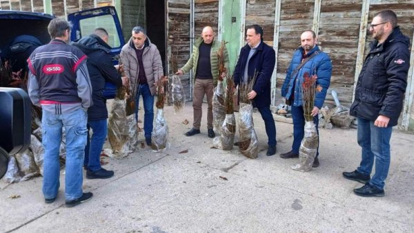“ПОСАДИ СВОЈ ХЛАД“ У ПАРАЋИНУ: Стигло 4000 садница црвеног храста (ФОТО) “ПОСАДИ СВОЈ ХЛАД“ У ПАРАЋИНУ: Стигло 4000 садница црвеног храста (ФОТО)
