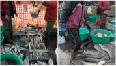 RIBA I NA TROTOARU: Iz prometa povučeno 34,6 kilograma, podnete tri prekršajne prijave RIBA I NA TROTOARU: Iz prometa povučeno 34,6 kilograma, podnete tri prekršajne prijave