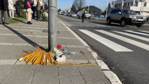 OSUĐEN VOZAČ ZBOG SMRTI MALE NIKOLINE (13): Pokosio je na pešačkom prelazu, dobio 8 godina zatvora