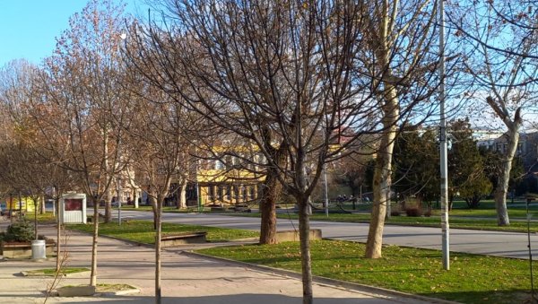 МАЛОЛЕТНИКУ (15) ПРИТВОР ДО 30 ДАНА: Саслушан тинејџер из Бачке Паланке, осумњичен за покушај убиства дечака (16) МАЛОЛЕТНИКУ (15) ПРИТВОР ДО 30 ДАНА: Саслушан тинејџер из Бачке Паланке, осумњичен за покушај убиства дечака (16)