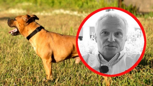 ПСИ БИЛИ НАУЧЕНИ ДА КИДИШУ НА ЉУДЕ: Владана изуједали до смрти, директор Ветерине говорио о случају ПСИ БИЛИ НАУЧЕНИ ДА КИДИШУ НА ЉУДЕ: Владана изуједали до смрти, директор Ветерине говорио о случају