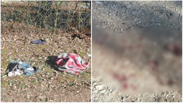 КРВ НА ЗЕМЉИ И ПОЦЕПАНА ОДЕЋА: Страшна сцена на месту где су пси насмрт изуједали Владана (ФОТО) КРВ НА ЗЕМЉИ И ПОЦЕПАНА ОДЕЋА: Страшна сцена на месту где су пси насмрт изуједали Владана (ФОТО)