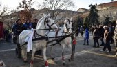 TRADICIJA U KIKINDI, KONJANICI DONELI BADANJAK: Drvo zapaljeno u gradu kod dve crkve i u selima (FOTO)