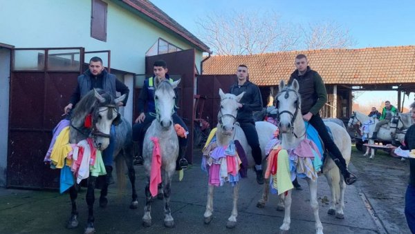 ВЕЗЕНИ ПЕШКИРИ ЗА БОЖИЋНЕ КОЊАНИКЕ: Јединствен обичај у селима широм Баната (ФОТО) ВЕЗЕНИ ПЕШКИРИ ЗА БОЖИЋНЕ КОЊАНИКЕ: Јединствен обичај у селима широм Баната (ФОТО)