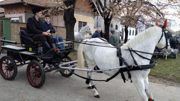 НА КОЊИМА ВИЈАЛИ БОЖИЋ: Традиционална манифестација на новосадској Салајци (ВИДЕО)