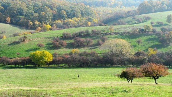 МАГИЈА ВОЈВОДИНЕ ОЧАРАЛА СТРАНЦЕ: Туризам на северу Србије превазишао сва очекивања МАГИЈА ВОЈВОДИНЕ ОЧАРАЛА СТРАНЦЕ: Туризам на северу Србије превазишао сва очекивања