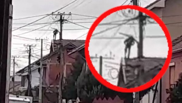 МЛАДИЋ КОЈИ ПРЕТИ ДА ЋЕ СКОЧИТИ СА КРОВА ПОБЕГАО ИЗ ЗАТВОРА? Хаос у Лесковцу - полиција блокирала улице, наговарају га да сиђе са куће МЛАДИЋ КОЈИ ПРЕТИ ДА ЋЕ СКОЧИТИ СА КРОВА ПОБЕГАО ИЗ ЗАТВОРА? Хаос у Лесковцу - полиција блокирала улице, наговарају га да сиђе са куће