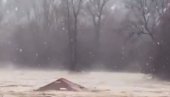ПОДИВЉАЛА РЕКА НОСИ КУЋУ: Призор са тока моћног Ибра који леди срца (ВИДЕО) ПОДИВЉАЛА РЕКА НОСИ КУЋУ: Призор са тока моћног Ибра који леди срца (ВИДЕО)
